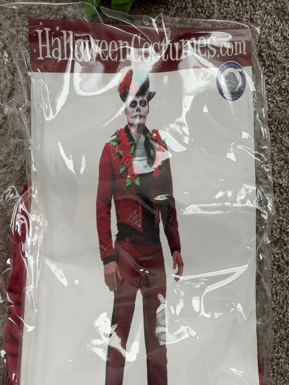 Men’s day of the dead costume